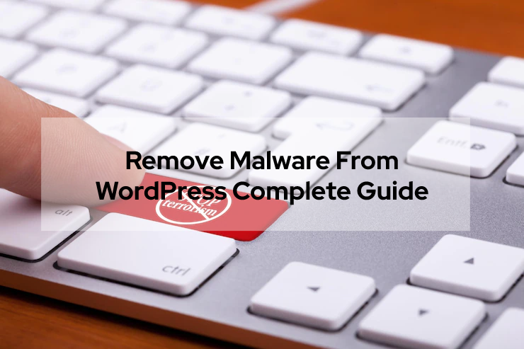 Remove Malware From WordPress Complete Guide