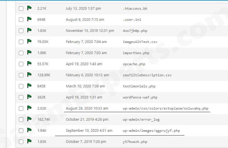 malicious files in the wordpress look like this