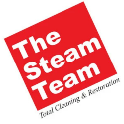Thesteamteam.com 1 Thesteamteam logo