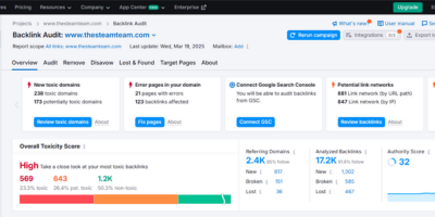 Thesteamteam.com 4 Backlink Audit dashboard showing High Overall Toxicity Score, 2.4K Referring Domains, and 17.2K Analyzed Backlinks.